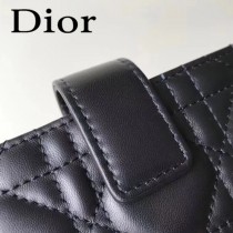 DIOR迪奧原版皮 卡包-01