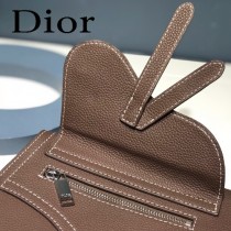 DIOR迪奧原版皮 春夏新款挎包-03