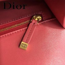 DIOR迪奧原版皮 蒙田包-05