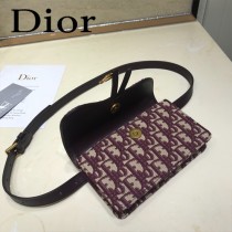 DIOR迪奧原版皮新款  Saddle 新款馬鞍腰包-01