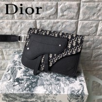 DIOR迪奧原版皮新款 手包