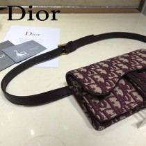 DIOR迪奧原版皮新款  Saddle 新款馬鞍腰包-01