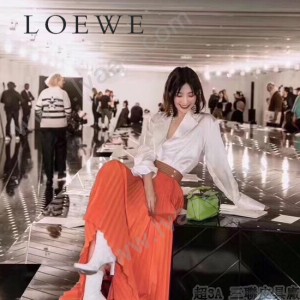 LOEWE 033-3 LOEWE 羅意威 puzzle mini原單拼接包