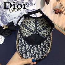 Dior迪奧，專櫃原單 鴨舌帽，金線小蜜蜂