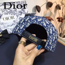 Dior迪奧，專櫃原單 鴨舌帽，金線小蜜蜂