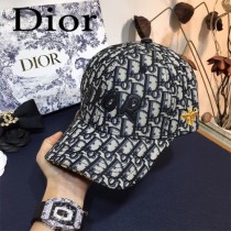 Dior迪奧，專櫃原單 鴨舌帽，金線小蜜蜂