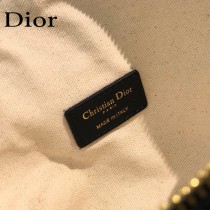 9207 Dior 新款原版皮化妝包