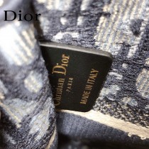 DIOR 新款 最新景甜迷妳購物包