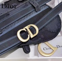 DIOR 新款原版皮 老花字母馬鞍腰包