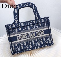 DIOR 新款 最新景甜迷妳購物包