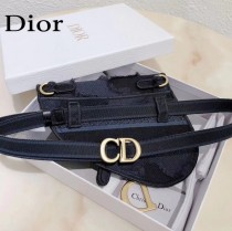DIOR 新款原版皮 老花字母馬鞍腰包