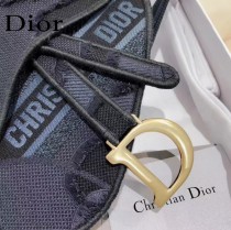 DIOR 新款原版皮 老花字母馬鞍腰包