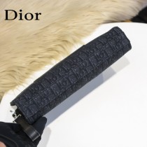Dior 131-5-01 迪奧專櫃最新款手拿包官網同步