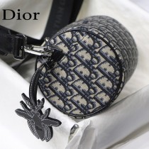DIOR 新款Oblique圓桶包