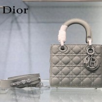 DIOR-02  新款四格徽章磨砂原版皮戴妃包