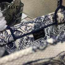 DIOR-04  新款  book tote沙灘包