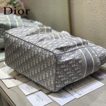 DIOR-02  新款  book tote沙灘包