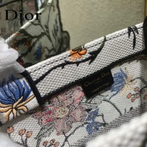 DIOR-03  新款  book tote沙灘包