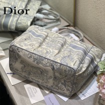 DIOR-05  新款  book tote沙灘包