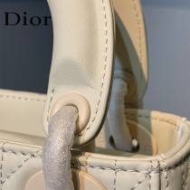 DIOR-01 新款 經典磨砂款戴妃包
