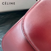 CELINE塞琳原單 666 TRIOMPHE 凱旋門中號 小牛皮肩背包郵差包