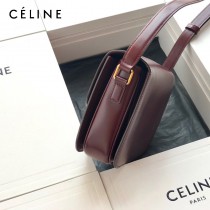 CELINE塞琳原單 666 TRIOMPHE 凱旋門中號 小牛皮肩背包郵差包