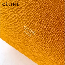 CELINE塞琳原單 658 Celine Belt Bag NANO鯰魚包 小號