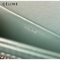 CELINE塞琳原單 666 TRIOMPHE 中號凱旋門 小牛皮肩背包郵差包