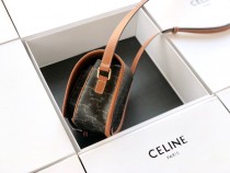 CELINE塞琳原單 684   FOLCO TRIOMPHE帆布中號老花手袋