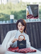 CELINE塞琳原單 706 CABAS 迷妳CELINE印花人造革牛皮革豎款手袋