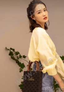 CELINE塞琳原單 706 CABAS 迷妳CELINE印花人造革牛皮革豎款手袋