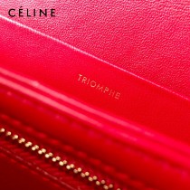 CELINE塞琳原單 666 TRIOMPHE 中號凱旋門 小牛皮肩背包郵差包