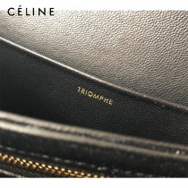 CELINE塞琳原單 666 TRIOMPHE 中號 織物面料拼接小牛皮肩背包郵差包