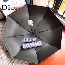 DIOR迪奧幻彩字母熱賣款全自動雨傘