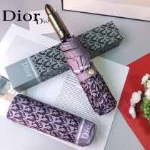 Dior 迪奧新型圖案全自動雨傘