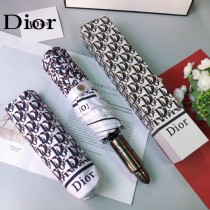 Dior 迪奧新型圖案全自動雨傘