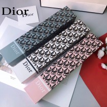 Dior 迪奧新型圖案全自動雨傘