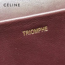 CELINE 賽琳 195263-05 原單 TRIOMPHE 牛皮革飾帶包