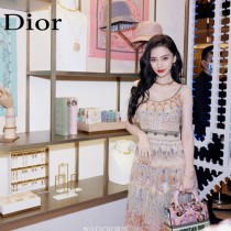 Dior-01  迪奧原單五格刺繡戴妃包  通體飾以本季標誌性的Tie