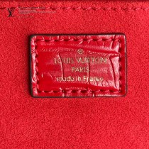 M90564鱷魚紋 M69442 LV原單鱷魚紋Petit Sac Plat 手袋