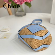 Chloe 2022爆款潛力股新款限定菜籃子