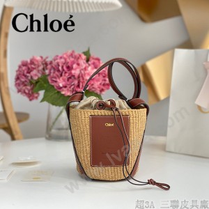 Chloe 2022爆款潛力股新款限定菜籃子