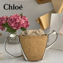 Chloe 2022爆款潛力股新款限定菜籃子