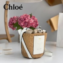 Chloe 2022爆款潛力股新款限定菜籃子