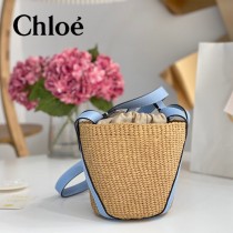 Chloe 2022爆款潛力股新款限定菜籃子