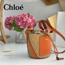 Chloe 2022爆款潛力股新款限定菜籃子