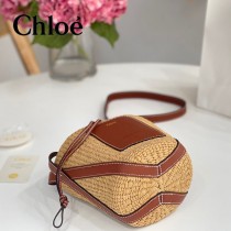 Chloe 2022爆款潛力股新款限定菜籃子