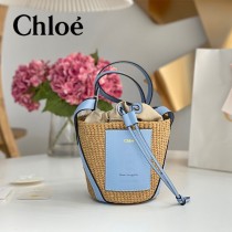 Chloe 2022爆款潛力股新款限定菜籃子