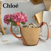 Chloe 2022爆款潛力股新款限定菜籃子