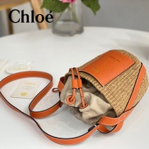 Chloe 2022爆款潛力股新款限定菜籃子